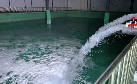 水（shuǐ）處理消泡劑