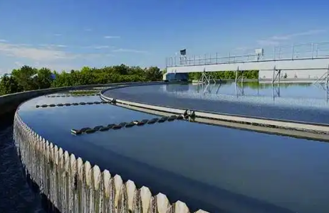有機矽消泡劑